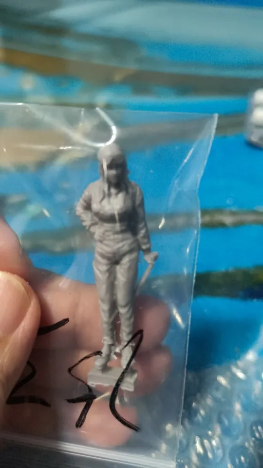 Buyer photo of this resin kit