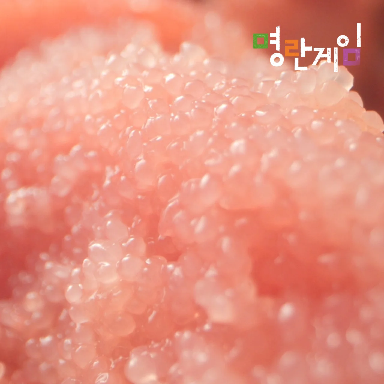 Norwegian boneless mackerel fillet 7packs(700-800g) Mackerel game (sunsal godeungeo) Middle size a low salted(jaban godeungeo) mackerel, thorns