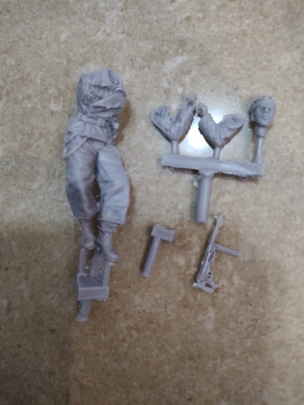 Buyer photo of this resin kit