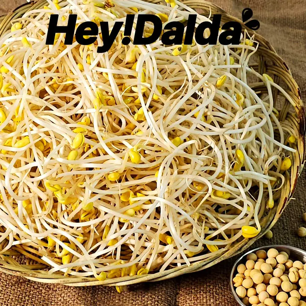 زراعة فول الصويا المنزلية الخالية من المبيدات الحشرية ، خالية من المبيدات الحشرية ، زراعة فول الصويا المحلية ، 1 ، 3 ، 5 ، من من من فول الصويا