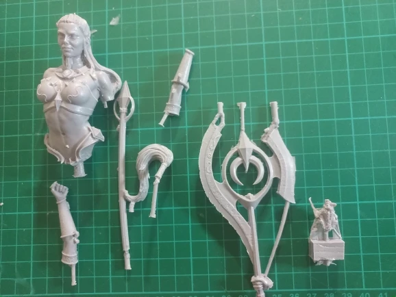 Buyer photo of this resin kit