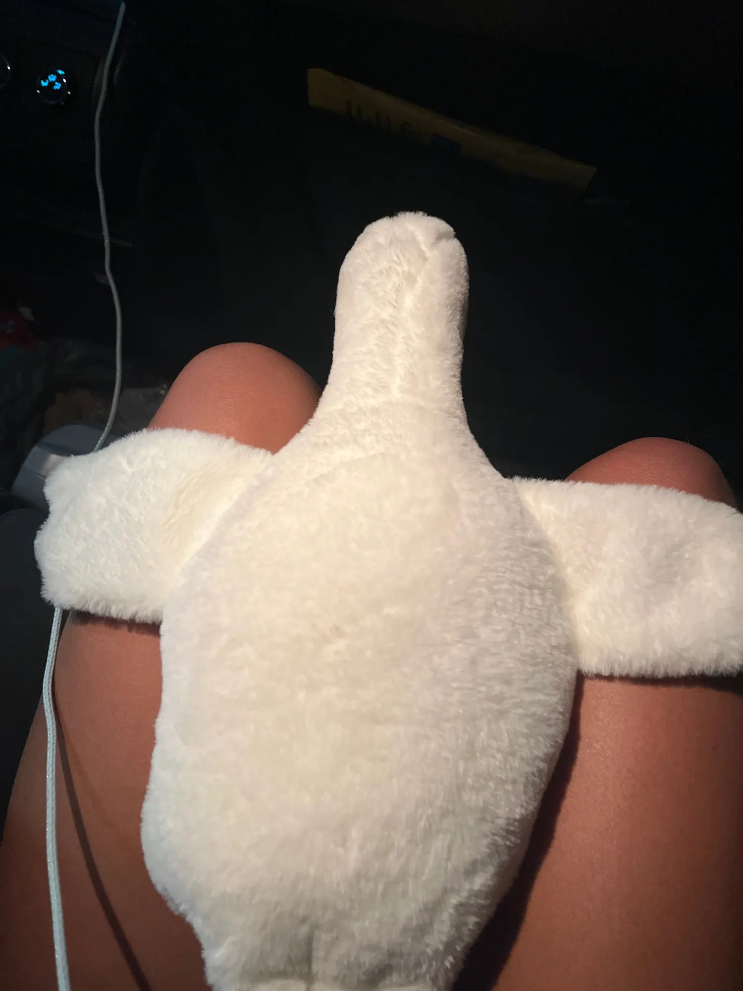 Customer review photo
