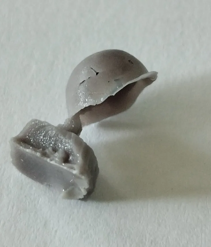 Buyer photo of this resin kit