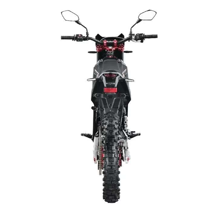 2025 new model Electric Balance Bike with 20-Inch off road bikes Removable Battery bikes