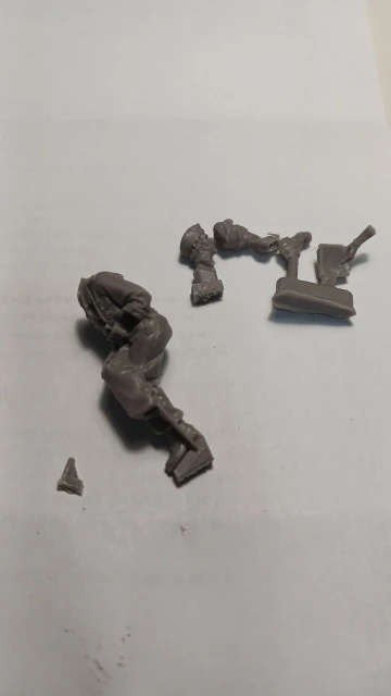 Buyer photo of this resin kit
