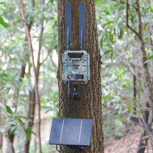 Pilin en iyi 10 satışı dıs 6v - №6