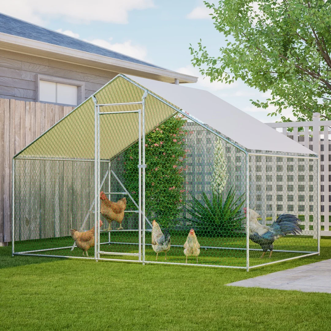 Buitenren van metaal voor kippen, 3x2m, met klimpaal, PE-dak, veilig afsluitbaar, geschikt voor pluimvee, konijnen en kleine honden in de achtertuin.