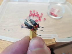 Imagen de reseña 1