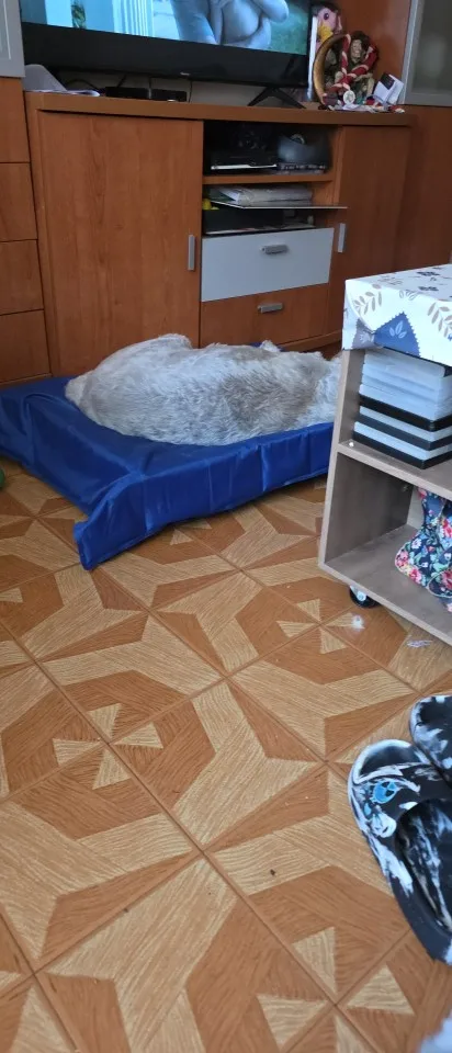 실물 포토 리뷰