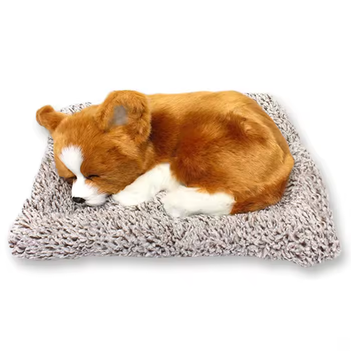 3. [오토크루] 자..