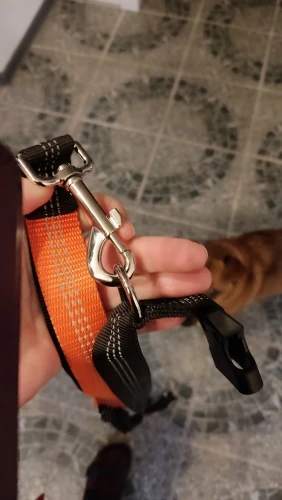 Customer review photo for Hands-Free Bungee Dog Leash with Adjustable Waist Belt