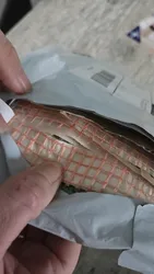 Imagen de reseña 5