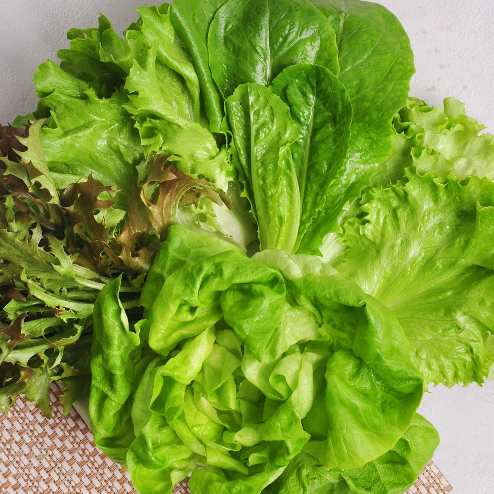 1kg/2kg of European salad vegetables harvested on the day