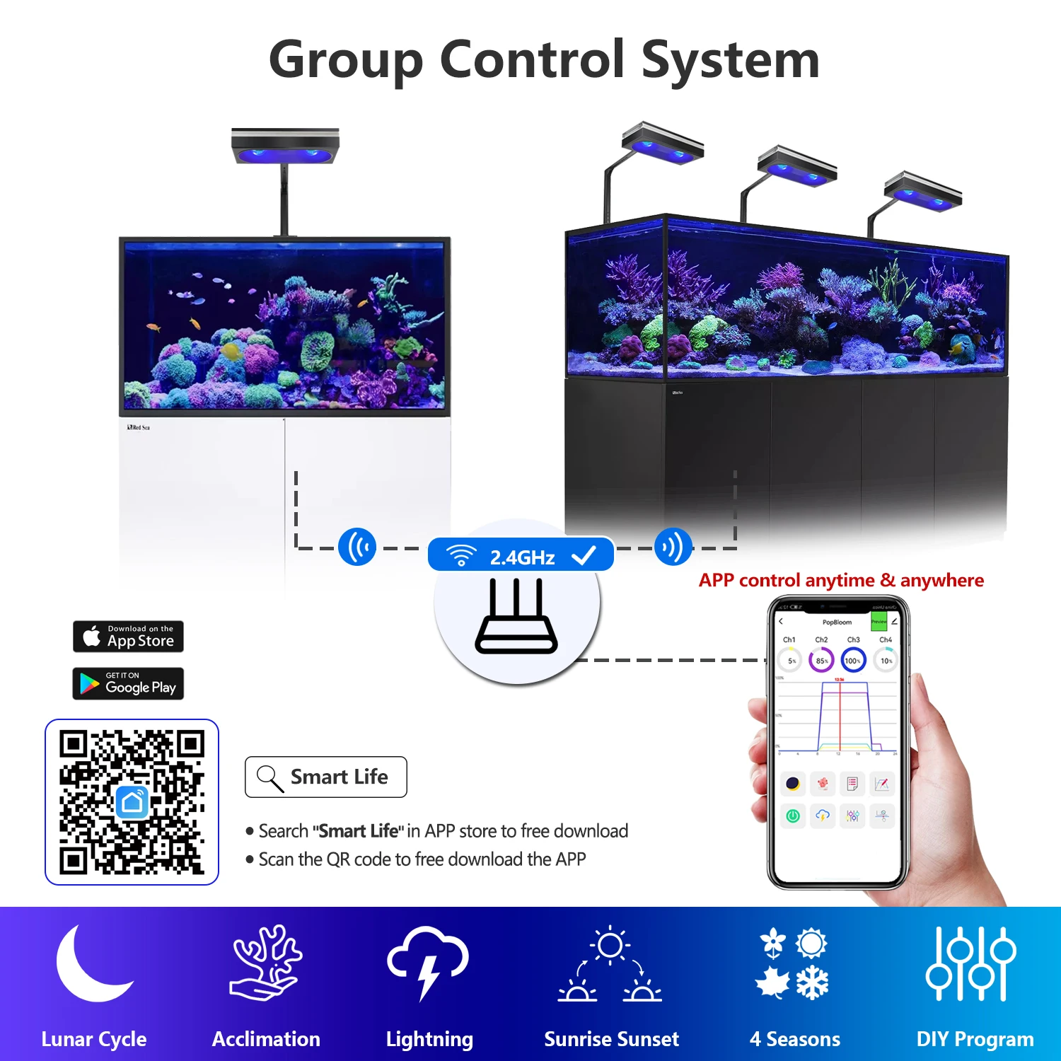 新しい PopBloom WiFi マリン水族館 LED 照 - Aquarium Marine Fishes のレビューと価格