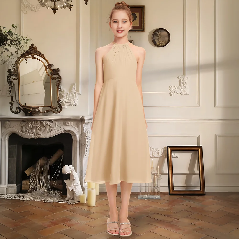 

Blush A Line Halter Knee Length Chiffon Junior Bridesmaid Dress Sleeveless Back Zip Flower Girl Dress Wedding Party Formal