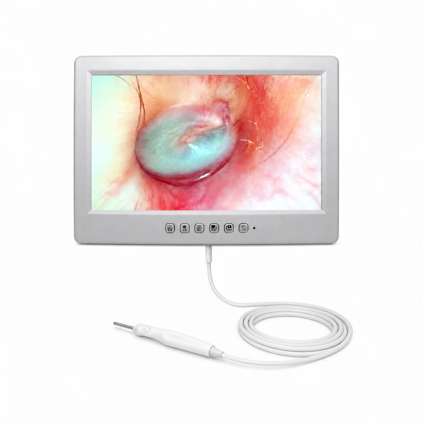 Endoscope Equipment HD Visual Ear Cleaning Instrument Smart Device Camera 3.2mm 10 Inch Ear Pick Otoscope Inspection Tools