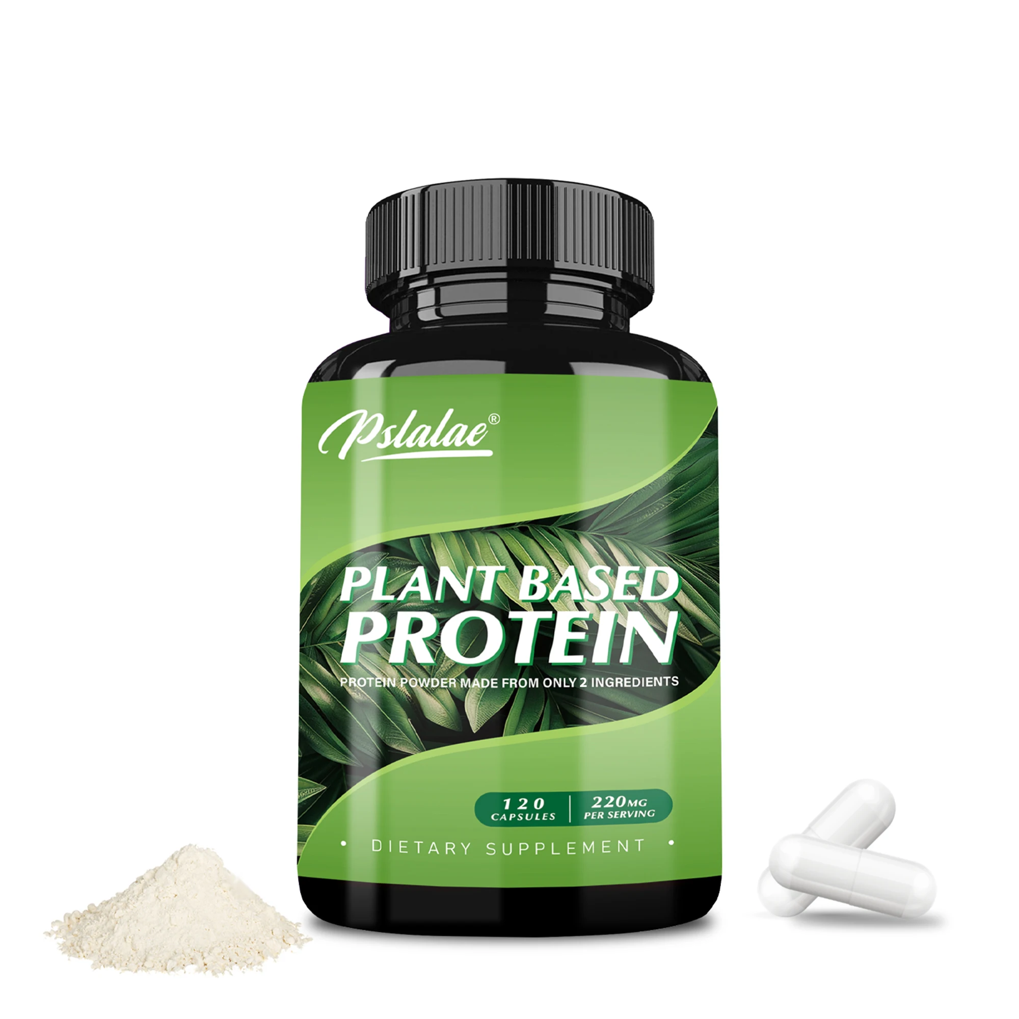 Plant Based Protein Supplement - Promotes Digestion and Intestinal Health, Boosts Immunity, Antioxidant - 120 Capsules