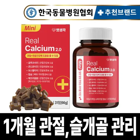 펫생각 강아지 관절 영양제 31정 1개월분 리얼 칼슘 슬개골 허리 디스크 관리 천억 페스타