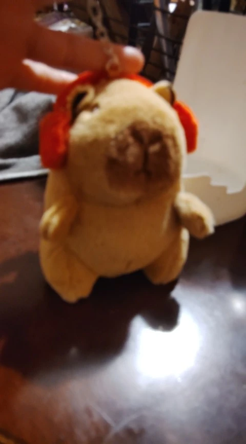 리뷰 사진