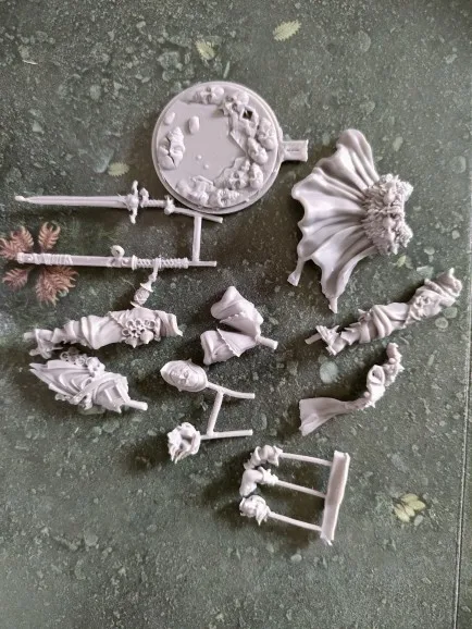 Buyer photo of this resin kit