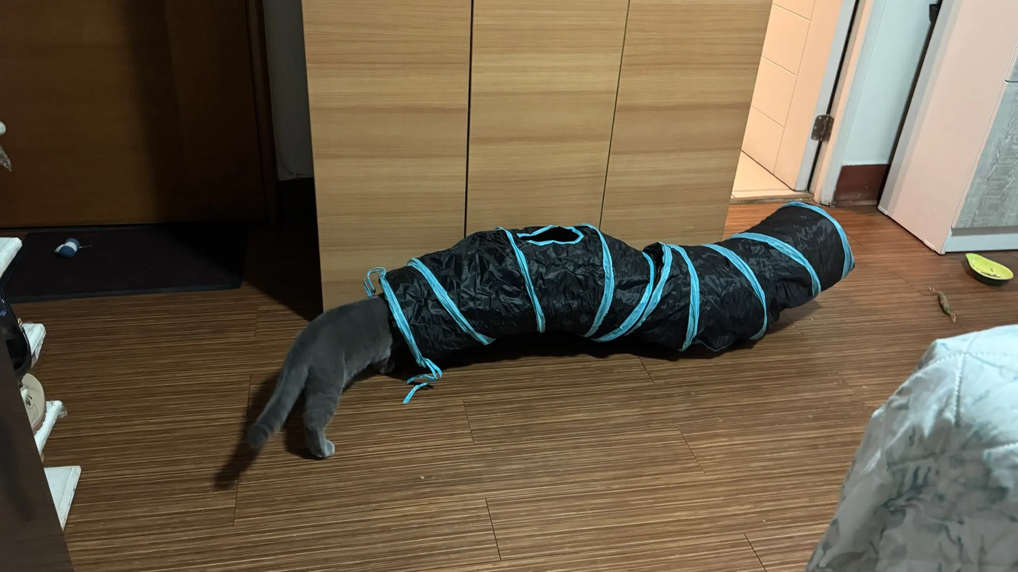 실물 포토 리뷰