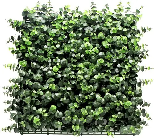 Vertical eucalyptus garden. Pack 4 pcs 50x50 cm.