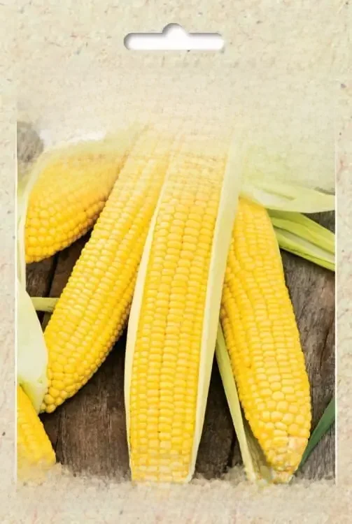 YELLOWY-Graines de Maïs Légumes, Bantam localité, Tortains, 20g