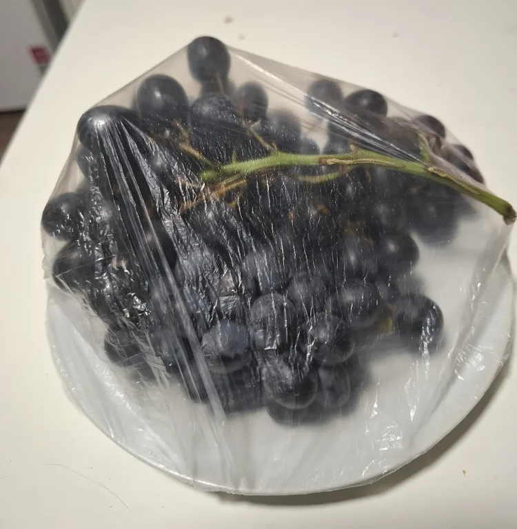 실물 포토 리뷰