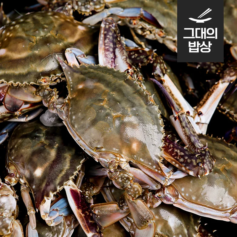 Taean Shingjin número cangrejo cáncer cangrejo 1kg Bit 1kg 4 mi cangrejo azul flor mezcla de cangrejo