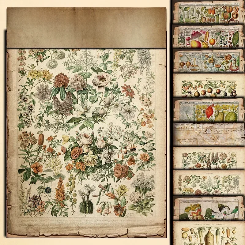 10 Stück Vintage Pflanze Blumen Obst Scrap booking DIY Tagebuch Material Papiere Junk Journal