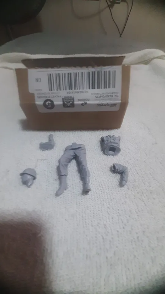 Buyer photo of this resin kit