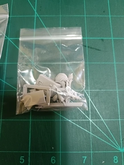 Buyer photo of this resin kit
