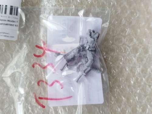 Buyer photo of this resin kit