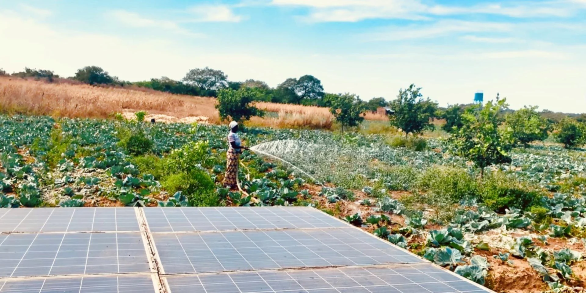 

Маленький солнечный скважинный насос 24 В, 48 В, 72 В постоянного тока для сельского хозяйства, орошения, экономичный солнечный погружной комплект солнечного насоса для глубоких скважин