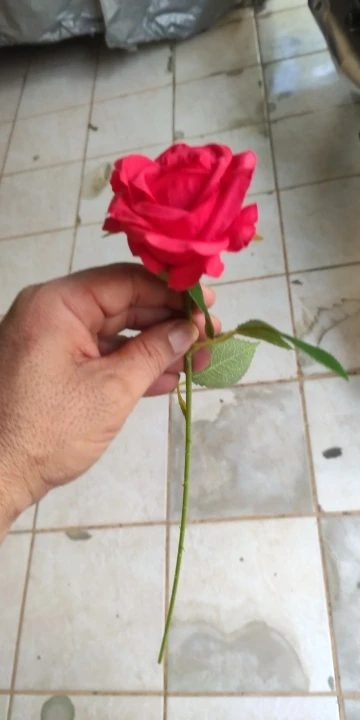 리뷰 사진