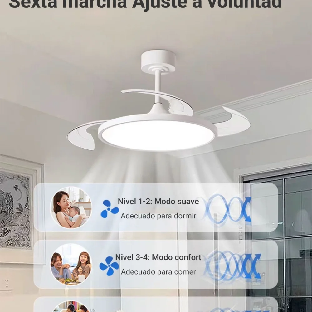 Imagen 5