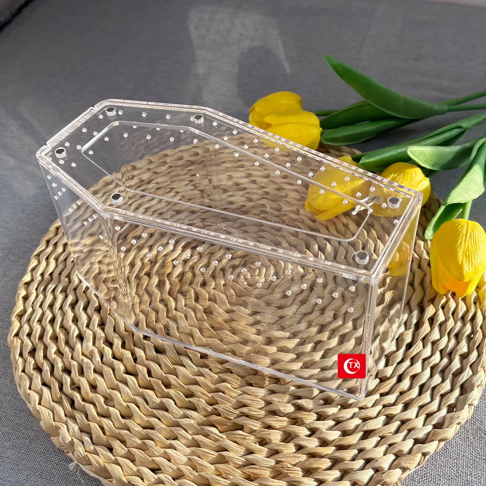 Transparent acrylic spider cage with ventilation Reptile pet insect amphibian habitat breeding box