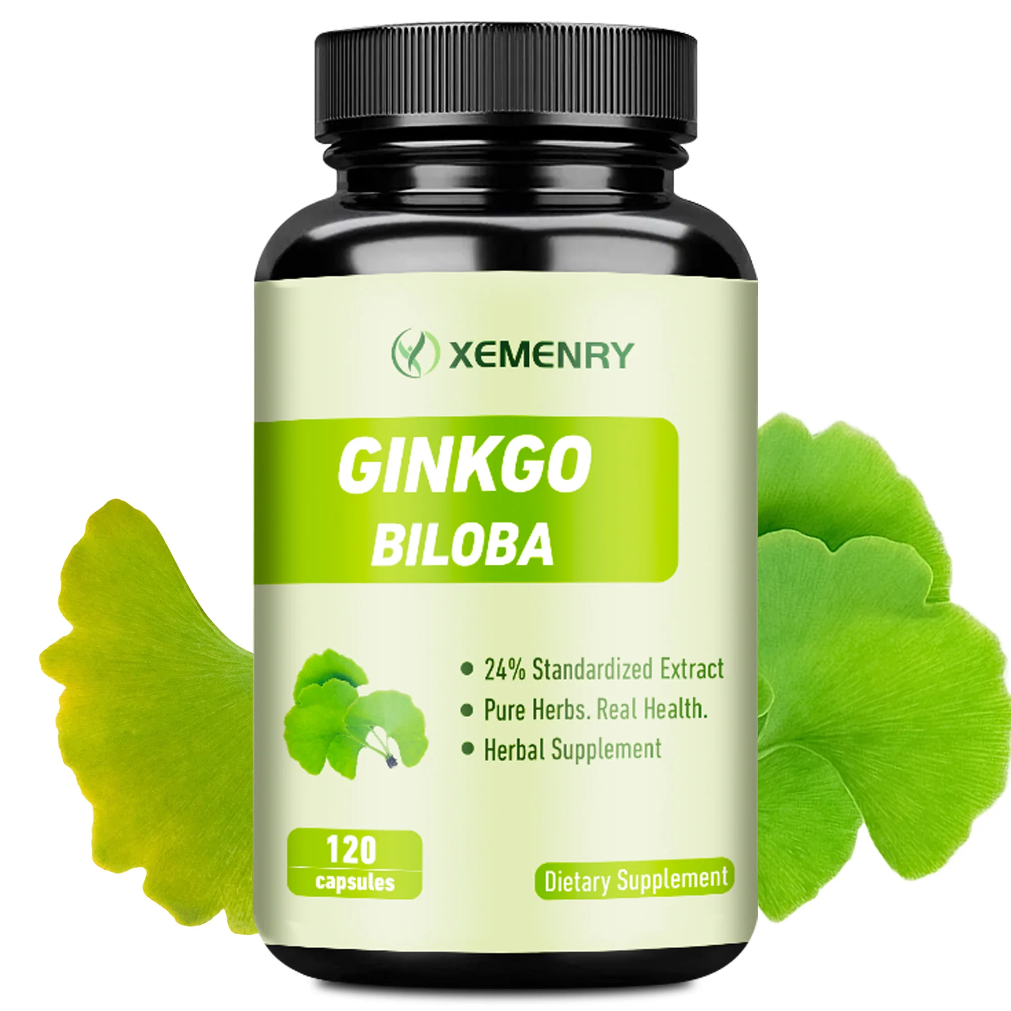 Ginkgo Biloba Capsules - Improves Concentration, Memory and Learning, Promotes Brain Health - 120 Capsules