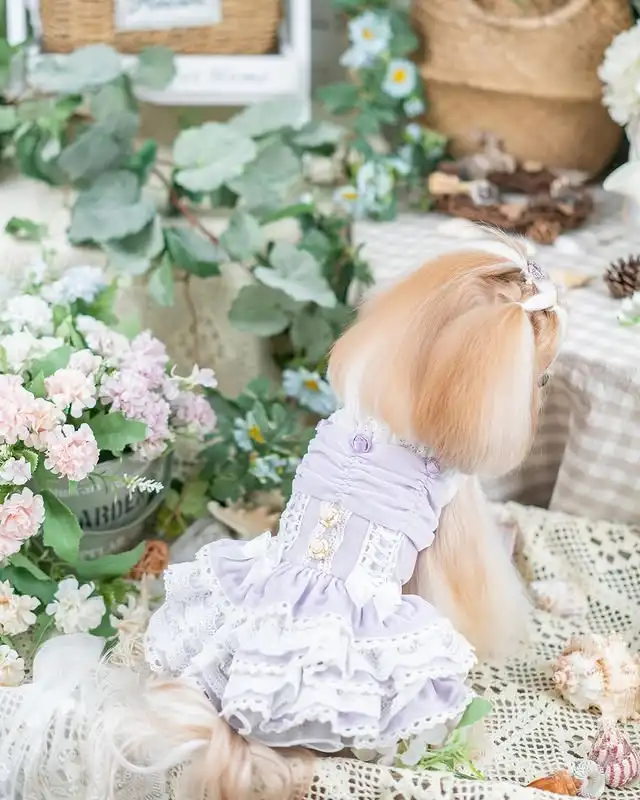 

Princess Dog Dress Velvet Lace Ruffle Skirt Summer Pet Outfit