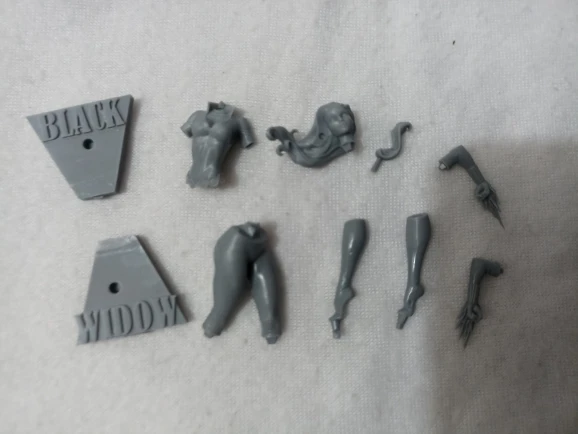 Buyer photo of this resin kit