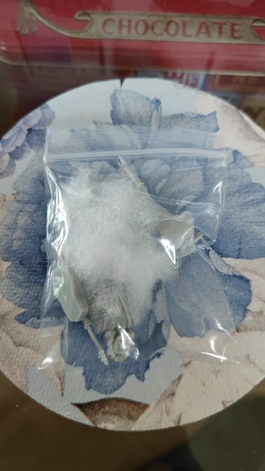 Buyer photo of this resin kit