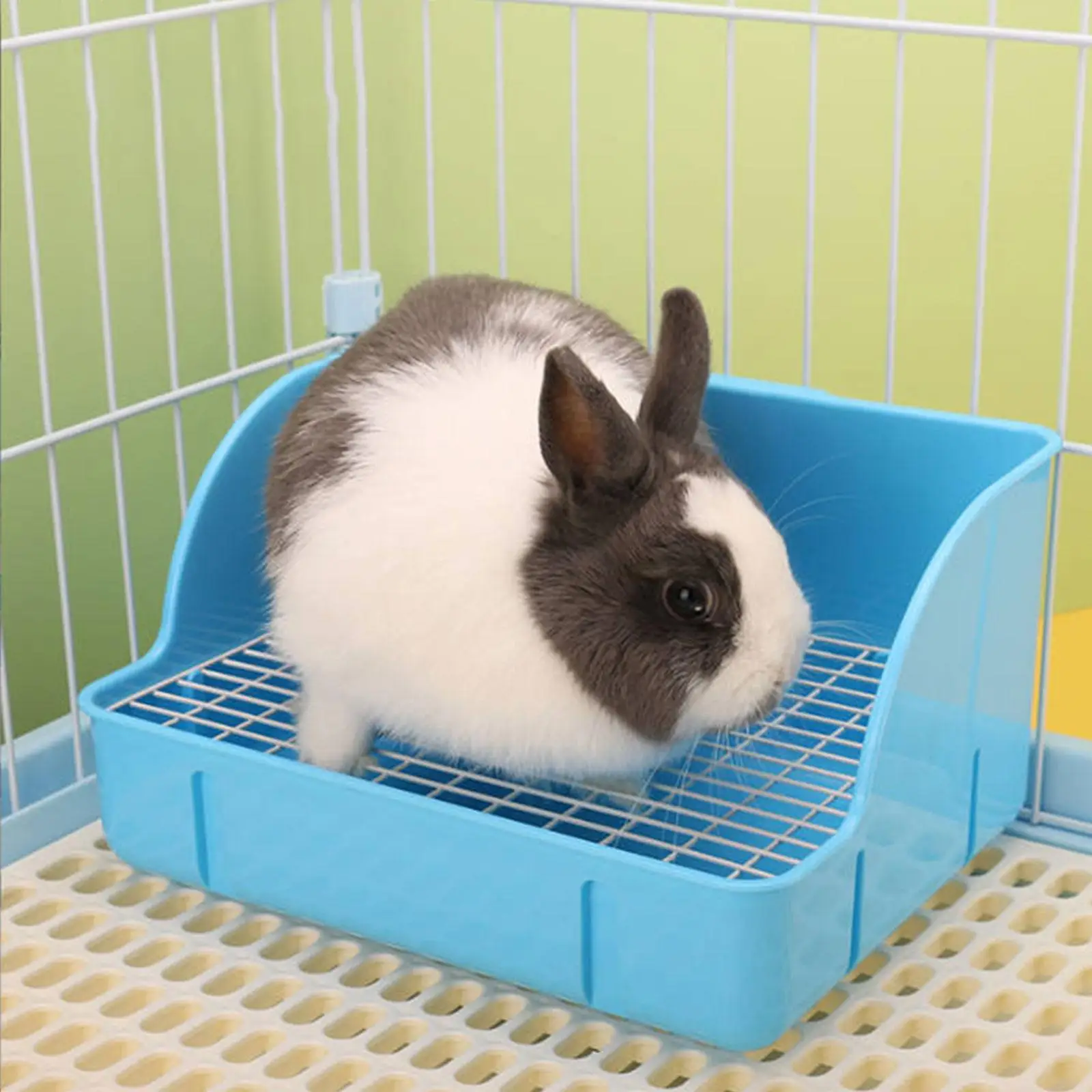 Kaninchen Katzentoilette Kleine Tiere Katzentoilette Ecke Toilettenbox Katzentoilette Hase Trainer für Ratten Hase Frettchen Igel Zubehör