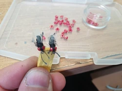 Imagen de reseña 2