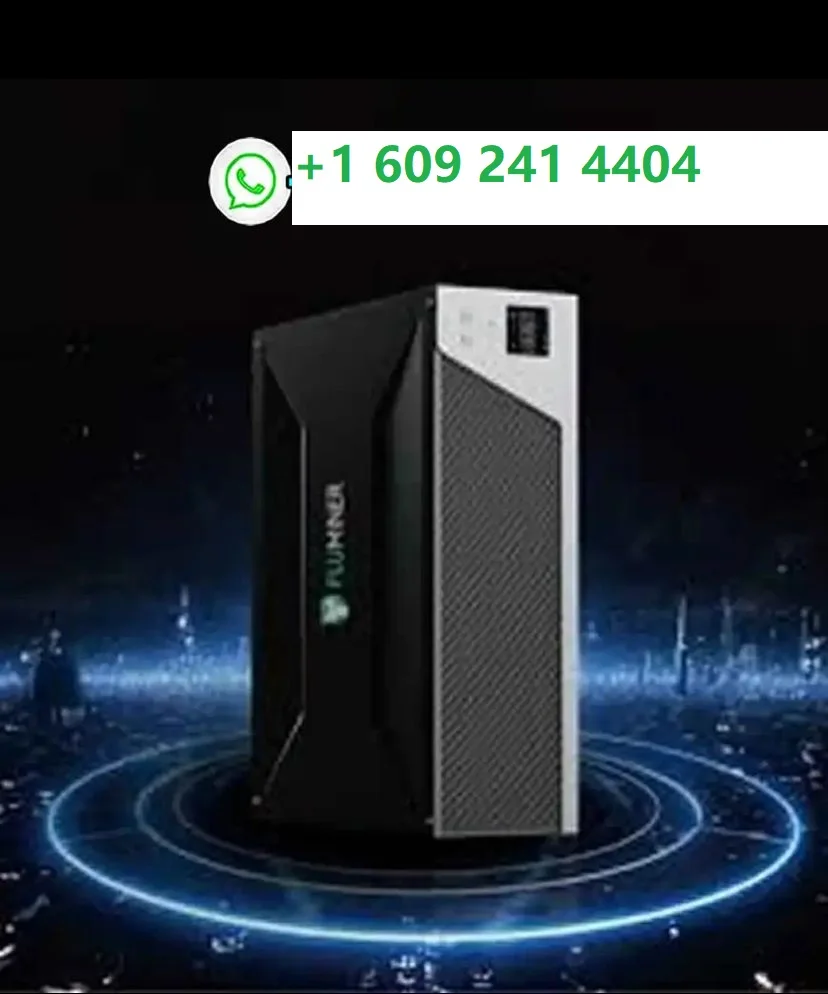 ST BEST SALES FOR NEW Fluminer L1 5.3G 1200W DOGE LTC bEL cion home miner