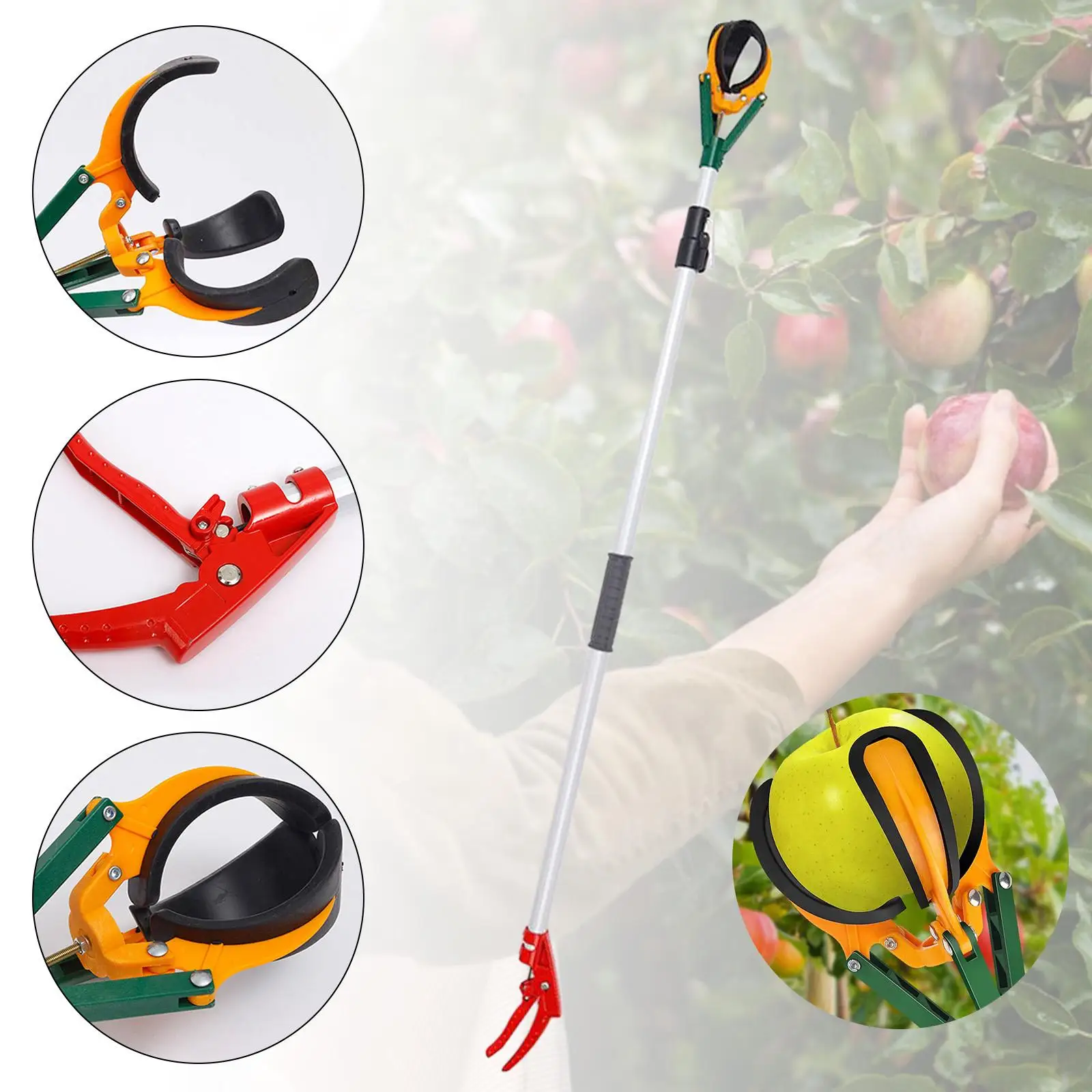 Fruit Harvesting Tool Fruit Tree Harvester Adjustable Sturdy Long Handle Fruit Picker Multipurpose for Mango Lemon Getting Fruit