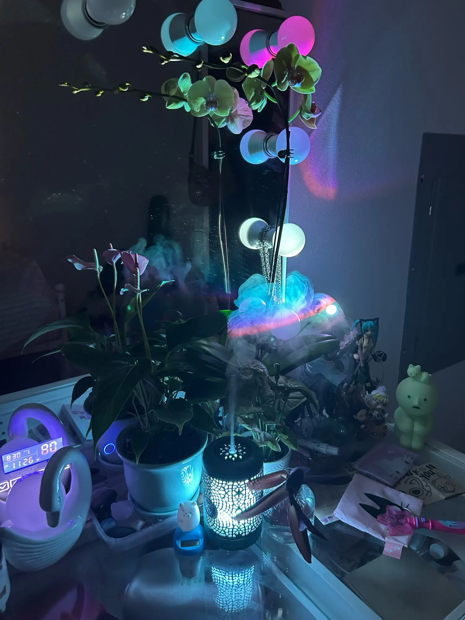 Customer review photo
