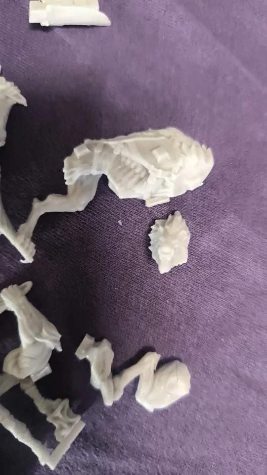 Buyer photo of this resin kit