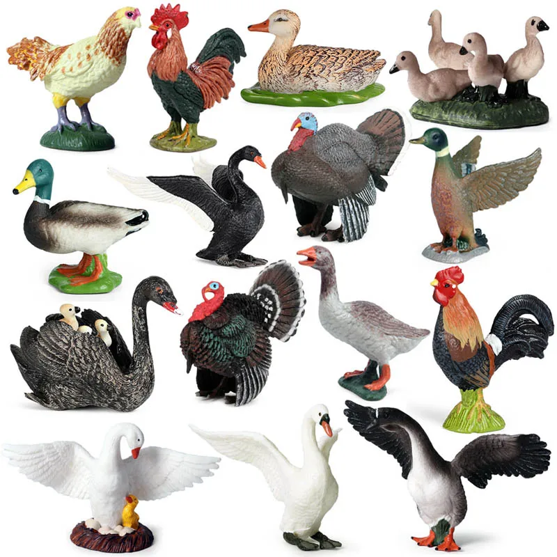 Simulation Swan Turkey Mallard Poultry Animals Model Action Figures Gallic Rooster Figurines Miniature Educational Toys Kid Gift