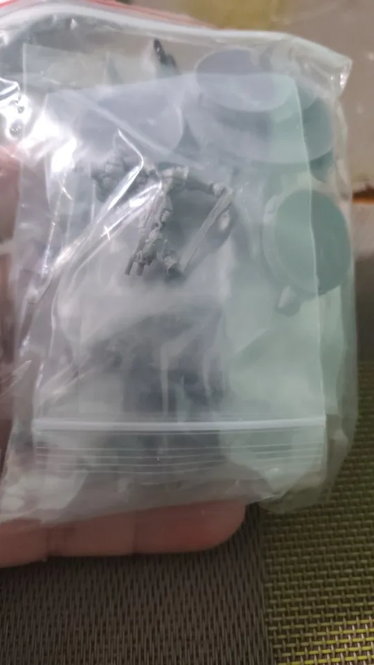 Buyer photo of this resin kit