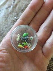Imagen de reseña 1